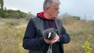 Одеський зоопарк