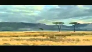 Легкая добыча