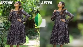 Blur background with snapseed|blur background snapseed photo editing Tutorial