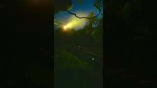 #nature