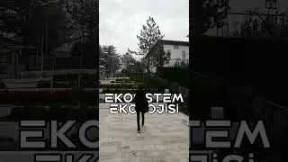 TYT Fen'i 0 Olanlara +7 Netlik Konular : YKS 418.sinden #yks2024  #yks2024tayfa #tytmatematik #yks