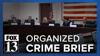 Legislature's organized crime group talks borders, retail theft and gangs