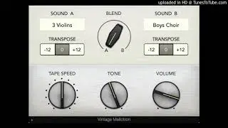 Mellotron Clone 