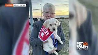 Canine Companions Puppy Raiser