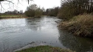 Wildnis NRW Teil2 – Die Ruhr