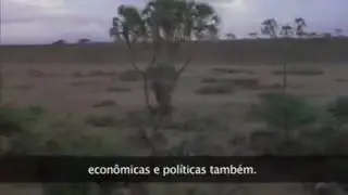 Congo, o inferno africano do paraíso do imperialismo corporativo (Pt. 2)