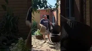 Набор, покоривший многих 🧺 #длясада #дача #кашпоизротанга