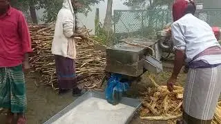 আখ থেকে গুড় তৈরির প্রথম ধাপ আখের রস নিষ্কাশন| আখের গুড় তৈরির পদ্ধতি
