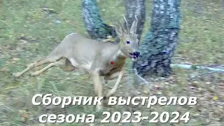 Сборник выстрелов сезона 2023 - 2024г