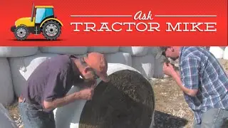 How Do I Know if I'm Buying Good Hay?