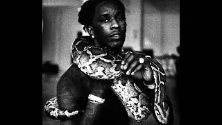 2015 young thug + rich gang type beat 