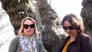 Что такое викторина 