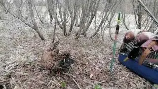 Закрытие сезона Весна-2022.