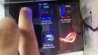 All keyboard switches sounds