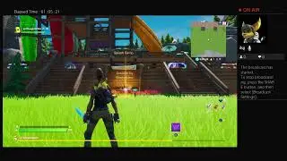 I'm playing Fornite with Kitty and Pea!!!