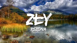 pszona - ZŁY (Tekst/Lyrics)