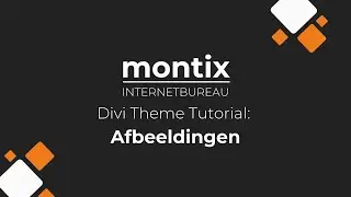 Divi Theme Tutorial: Afbeeldingen