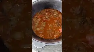 Ovqatmisan Ovqat Kelila