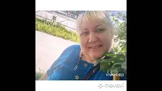 №216  День Петра и Февроньи/кондитерская/маленький юбилей..
