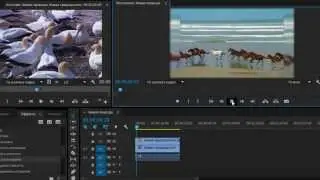 Как размыть видео (Adobe Premiere Pro CC)