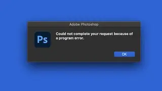 Could not complete your request because of a program error