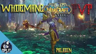 Jwilson WoW Classic Ret Paladin PVP 3.0 Phase 2
