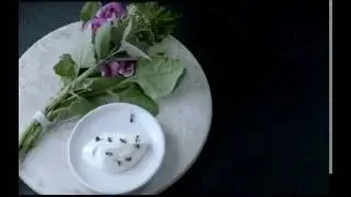 24_DOC: NOMA. МОЙ ИДЕАЛЬНЫЙ ШТОРМ