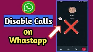 How to Disable Whatsapp Calls | Turn Off Voice and Video Calls