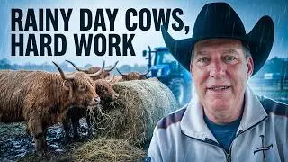 Easter Week Farm Work | Tractors, Hay Bales & Highland Cows
