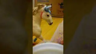 Недоуздок из резинок. Урок.