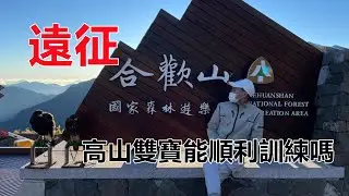 【帶老鷹去爬山EP.5】｜Hawk training｜號稱全台最簡單百岳！山下登頂只要15分鐘！！！有那麼容易嘛？？？