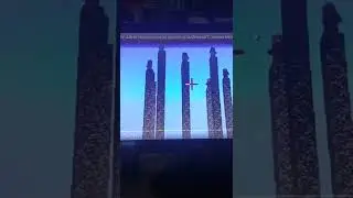 оцениваем видео кампота📲
