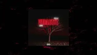 Ryuok x Nyntex - Verletzt (OFFICIAL VISUALIZER)