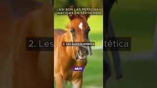 Can I see pictures of the dashboard and the analytics ? #shorts #septiembre #virgo #libra