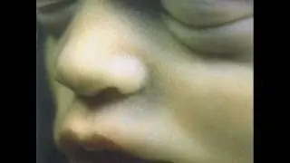 Rammstein - Mein Herz Brennt