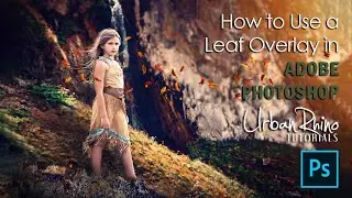How to Use a Leaf Overlay in Adobe Photoshop