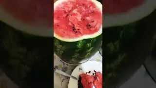 Викинг против арбузного монстра. Часть 2. Метод поедания, не совсем спелый?...Вцелом норм!