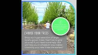 iTrees.com CommuniTrees Partner Program