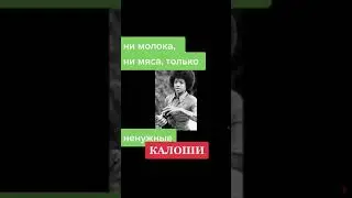 Путин и ненужные галоши, Майкл Джексон и фотоаппараты Зенит 📷📸📷📸📷📸📷📸📷📸📷📸📷📸📷
