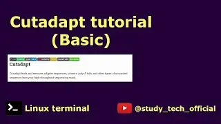 Cutadapt tutorial 🛠️Install 💻 Run 🎓 Paired end #bioinformatics #biology