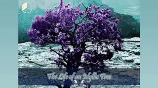 I. Gentle Roots (The Life of an Idyllic Tree)