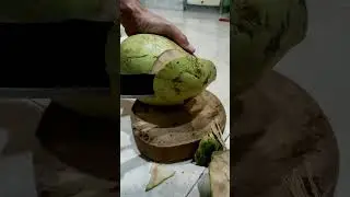 excellent coconut cutting #asmr #peelingcoconut #satisfying #coconut #cuttingcoconut