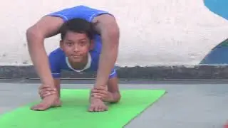 Chakrabandhasana