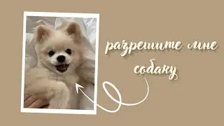 можно мне собаку | советы как уговорить родителей купить тебе собаку!!! | wantdog