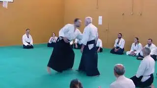 Aikido - Roberto Martucci - Connection