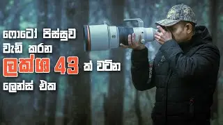Sony 400mm f2.8 | Photography sinhala