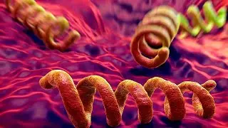 A Syphillis Problem In Houston? Beware And Be Careful!