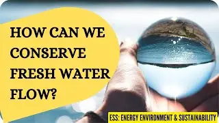 How can we conserve fresh water flow? | Sir David Attenborough | Environment