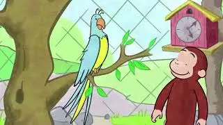 Polly the parrot is talking up a storm!