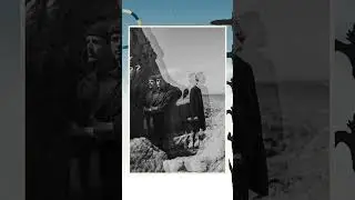 Sula Bassana - Annonce
